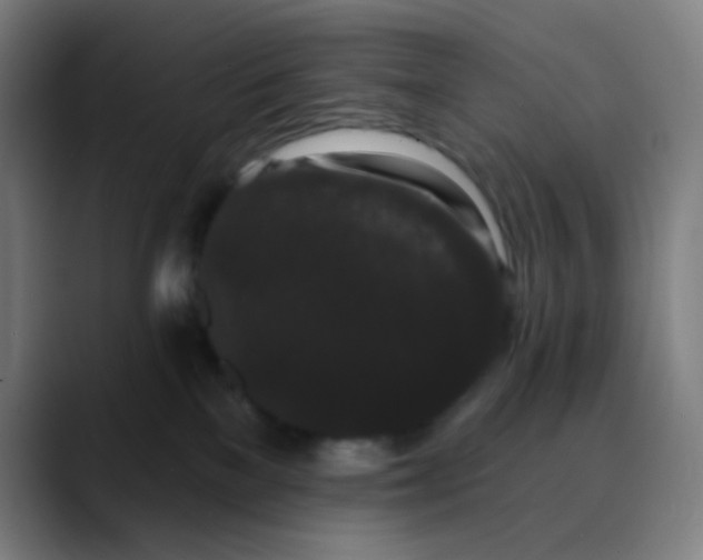 X0000089740137200707121514