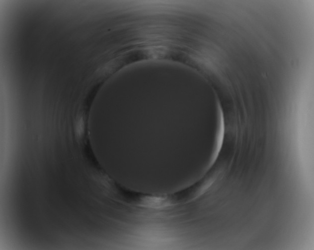 X0000089740139200707121514