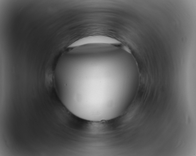 X0000089740141200707121514