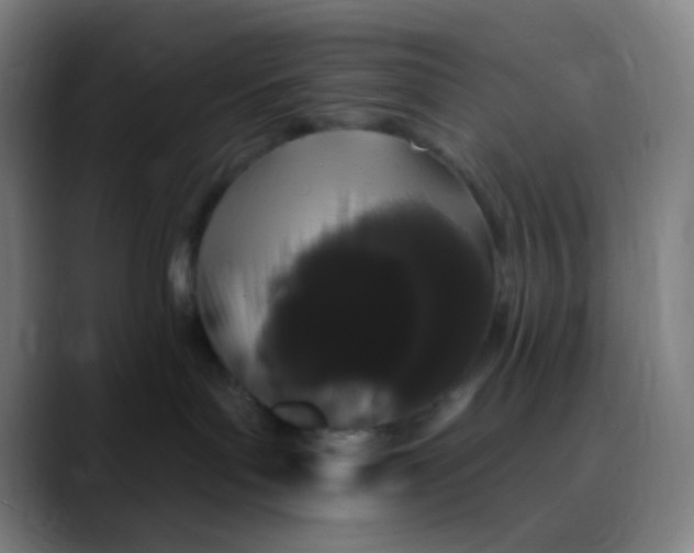 X0000089740143200707121514