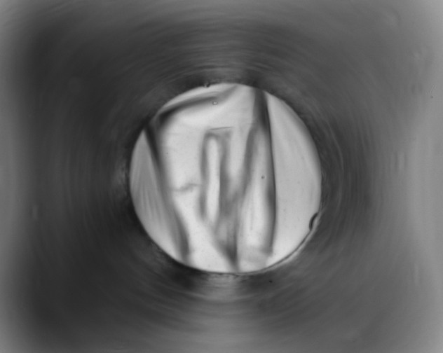 X0000089740144200707121514