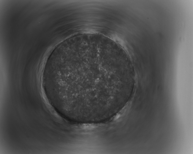 X0000089740145200707121513