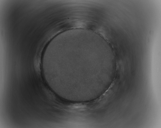 X0000089740146200707121513