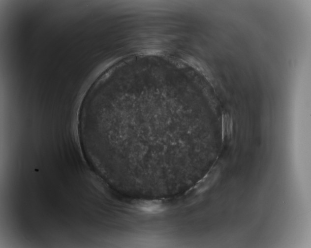 X0000089740147200707121513