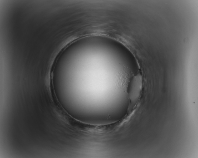 X0000089740148200707121513