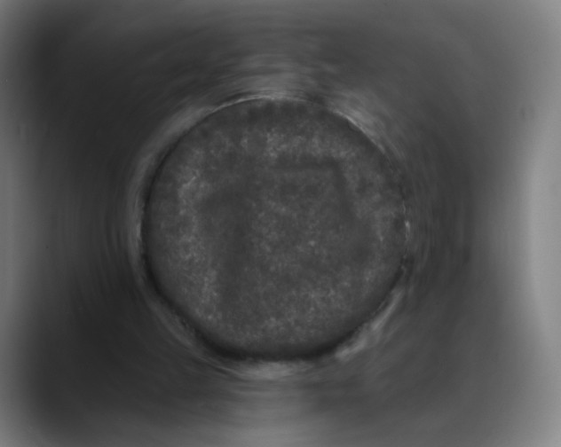 X0000089740149200707121513