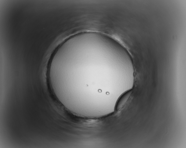 X0000089740151200707121513