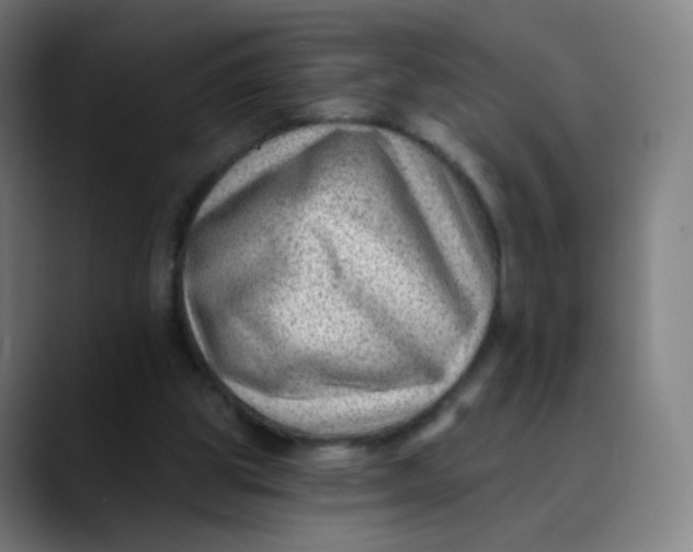 X0000089740153200707121513