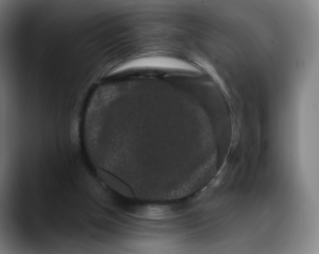 X0000089740154200707121513