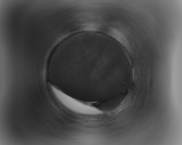 X0000089740156200707121513