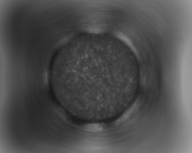 X0000089740161200707121513