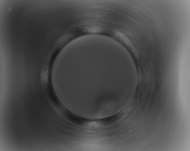 X0000089740163200707121513