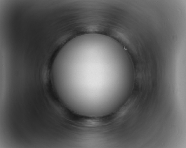 X0000089740164200707121513