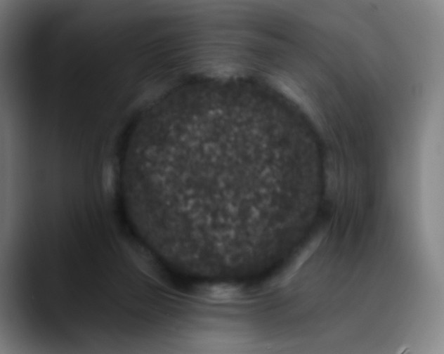 X0000089740165200707121513