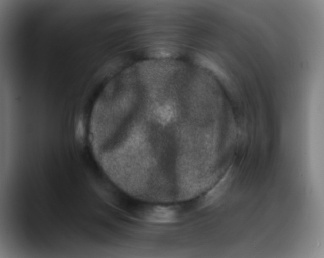 X0000089740166200707121513