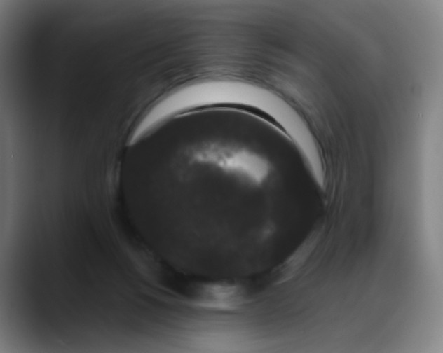 X0000089740168200707121513