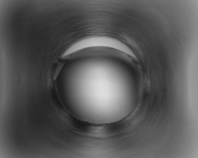 X0000089740170200707121514