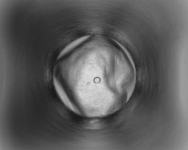 X0000089740173200707121514