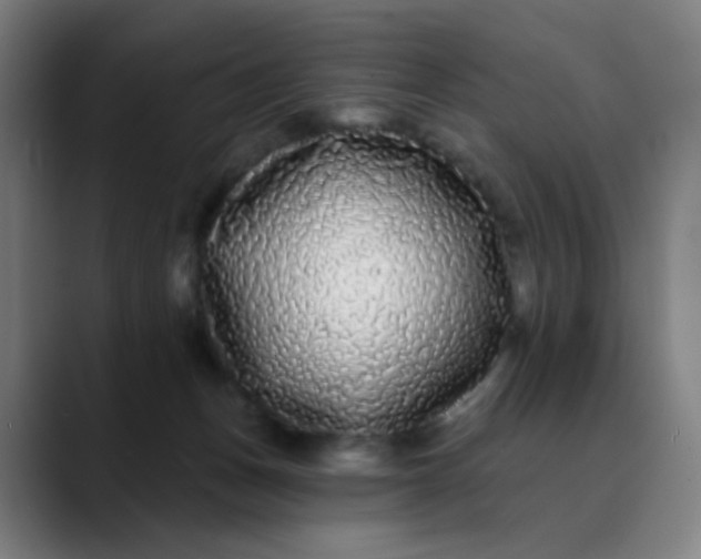 X0000089740175200707121514