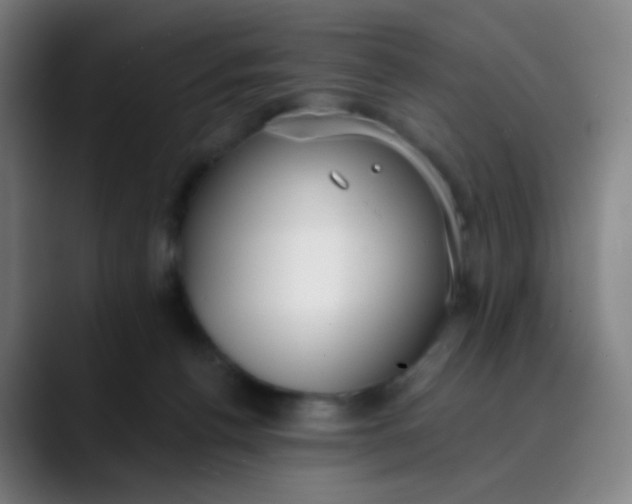 X0000089740176200707121514