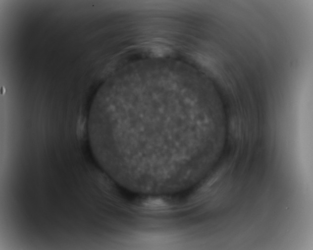 X0000089740177200707121514