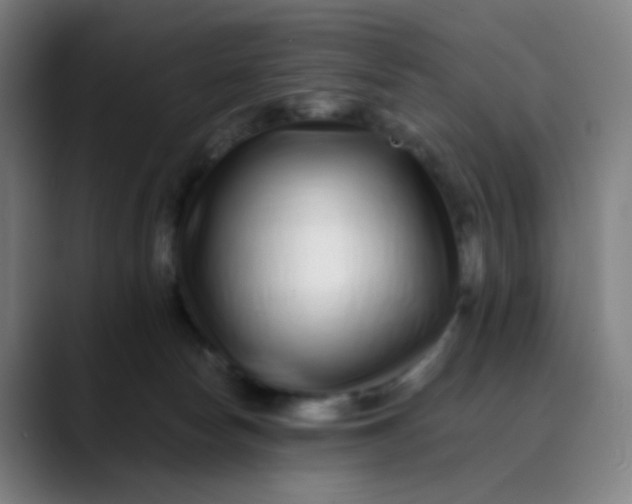 X0000089740178200707121514