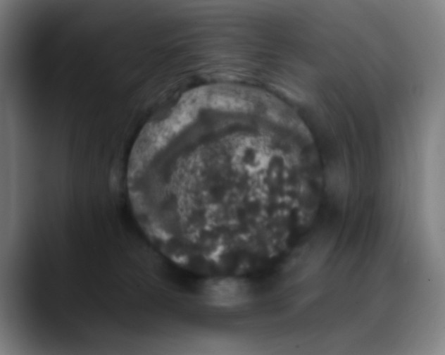 X0000089740181200707121514