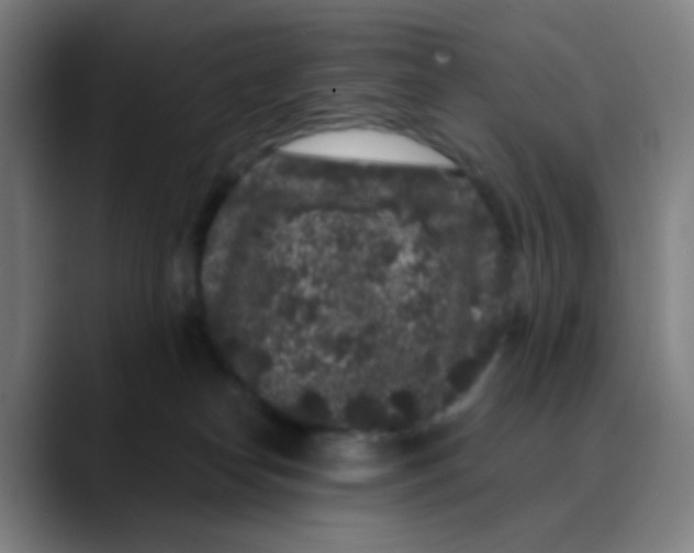 X0000089740182200707121514