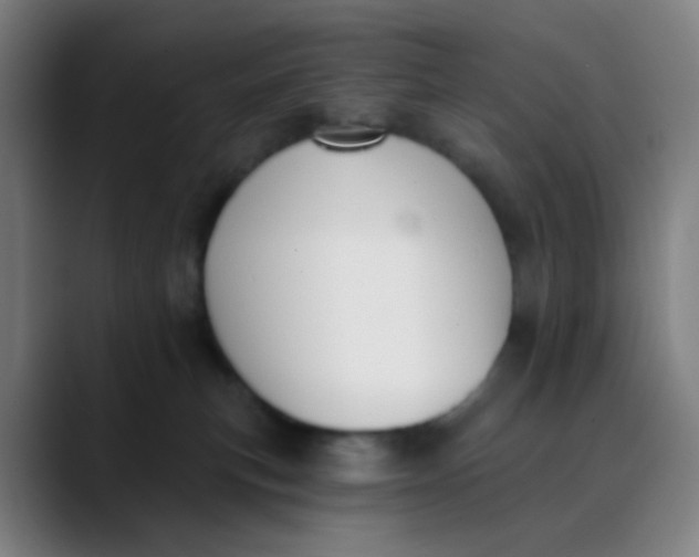 X0000089740183200707121514