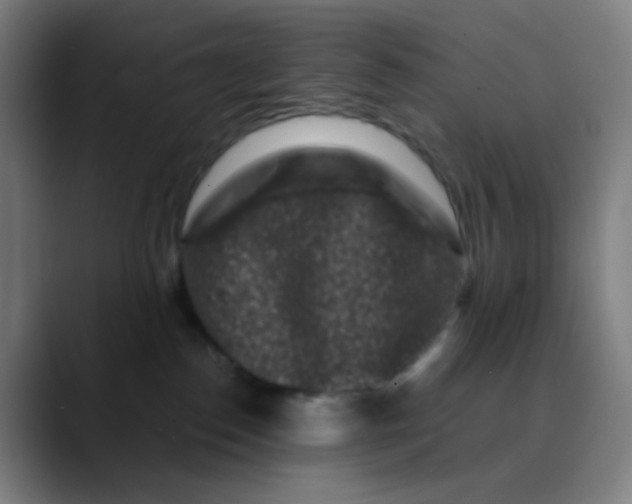 X0000089740186200707121514