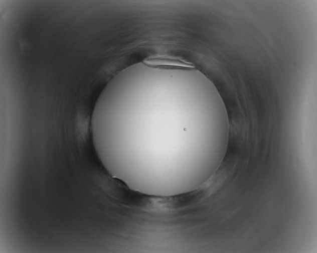 X0000089740188200707121514