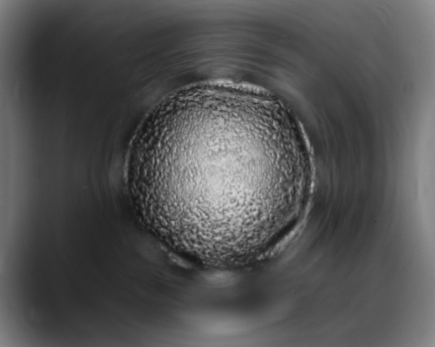 X0000089740189200707121514