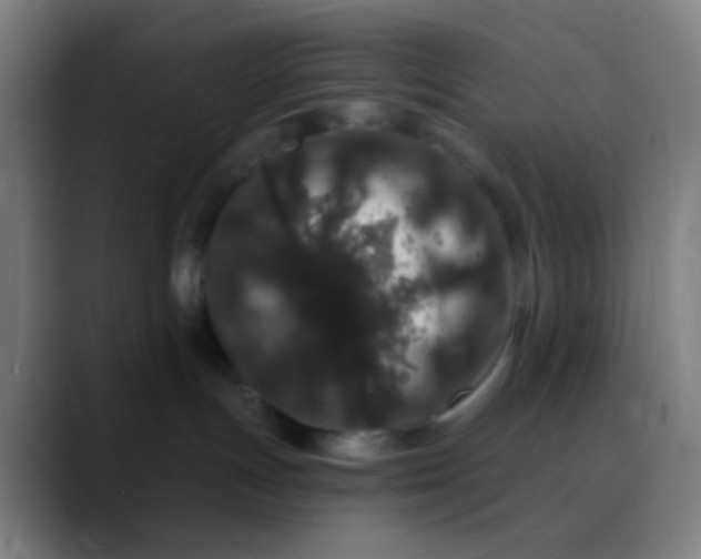 X0000089740191200707121514