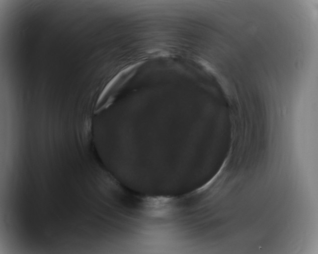 X0000089740192200707121514