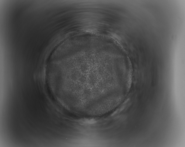 X0000089740194200707121513