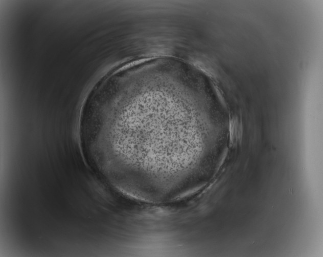 X0000089740195200707121513