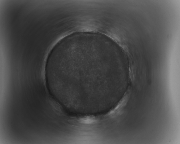 X0000089740196200707121513