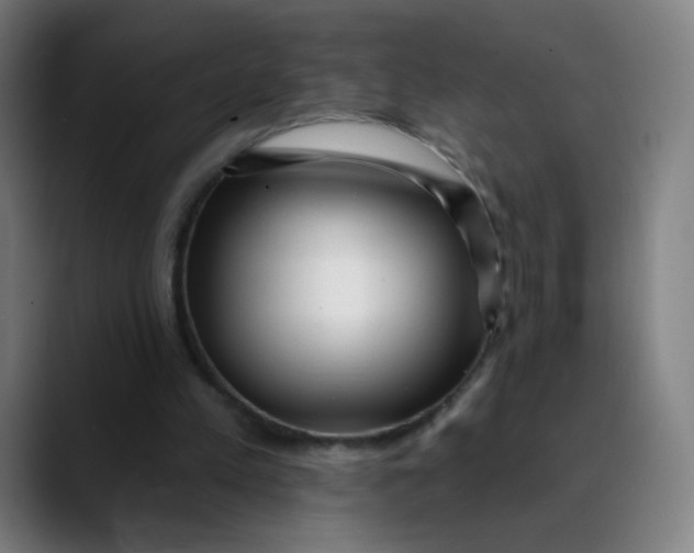 X0000089740197200707121513