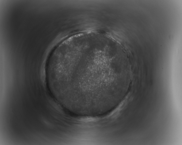 X0000089740198200707121513