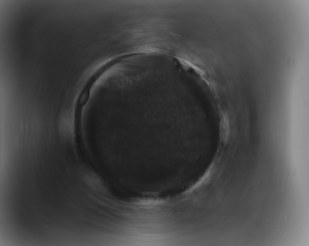 X0000089740200200707121513