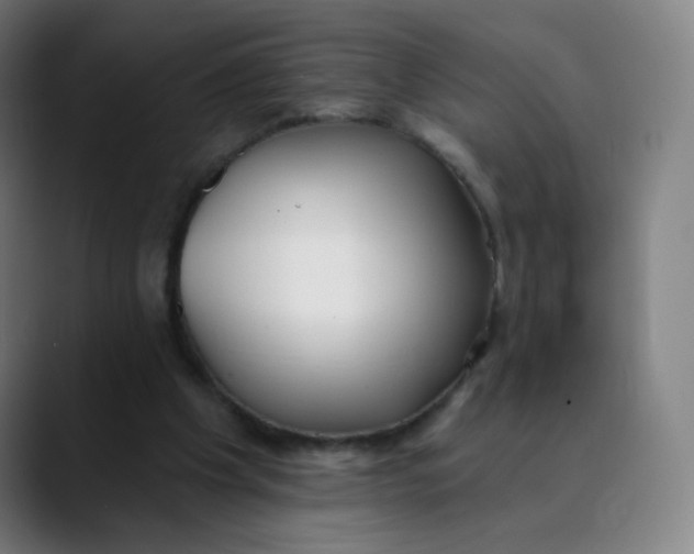 X0000089740201200707121513