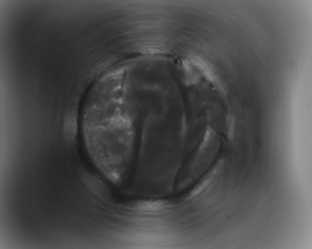 X0000089740202200707121513