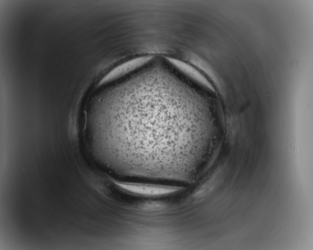 X0000089740203200707121513