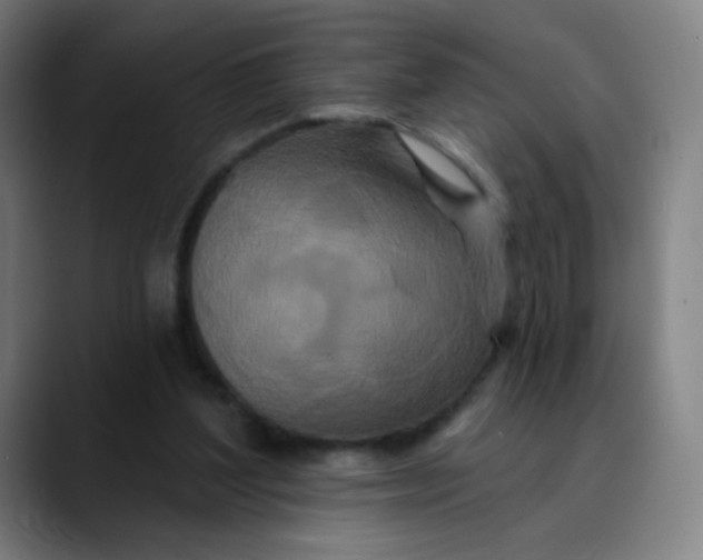 X0000089740204200707121513