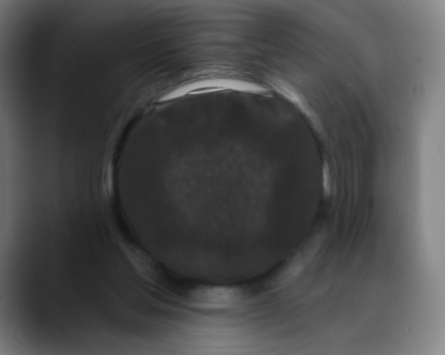 X0000089740205200707121513