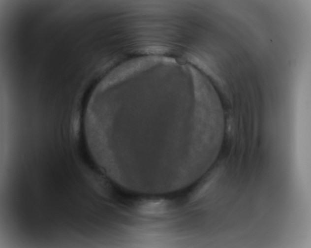 X0000089740206200707121513