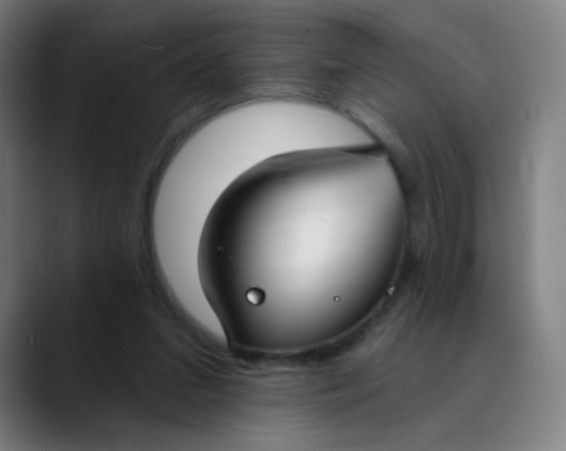 X0000089740207200707121513