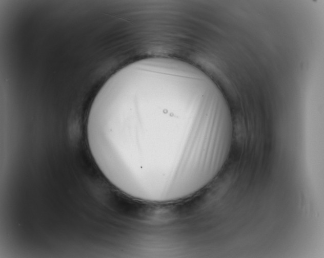 X0000089740208200707121513