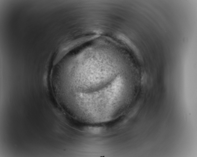 X0000089740209200707121513