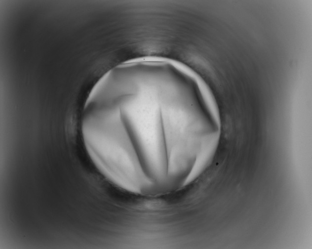 X0000089740210200707121513